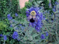 photos 2000-200902560